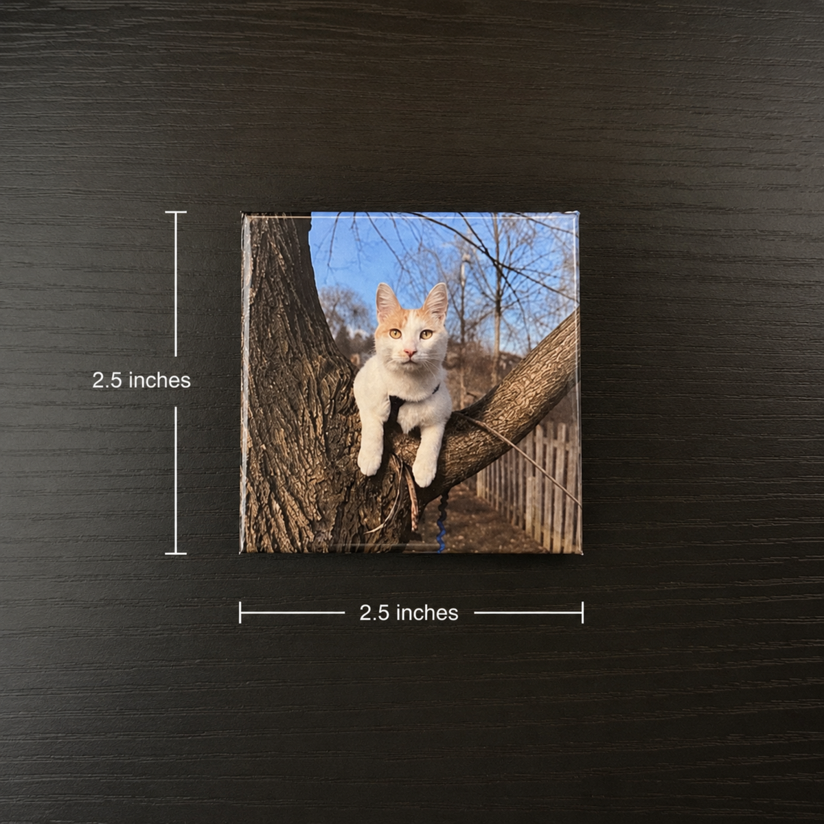 custom cat photo magnet by Hunter's Healthy Treats